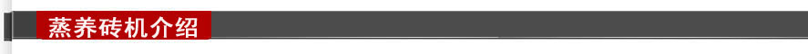 蒸養(yǎng)磚設備
